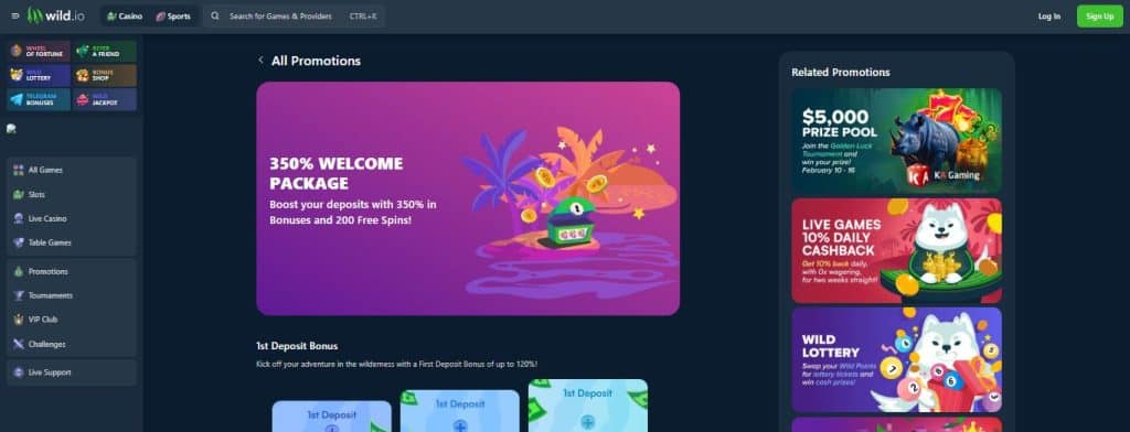 Wild.io - Crypto Exclusive Florida Online Casinos With Rapid Withdrawals